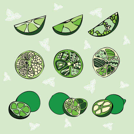 set of 9 limes のイラスト素材