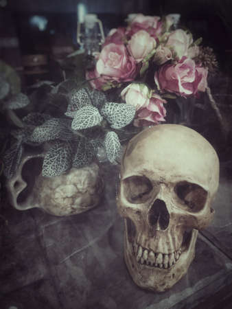Halloween still life : The human skull with flower in vase and ornamental plants on wooden table in the mystery room, soft focus, blurred image, film  noir filterの写真素材