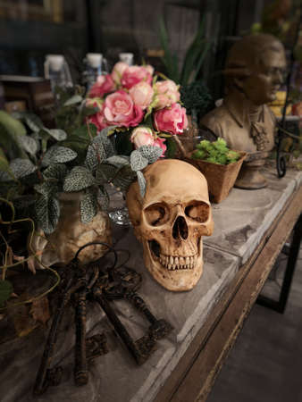 Halloween still life : The human skull with bottle, flower bouquet in vase and ornamental plants on wooden table in the mystery room, soft focus, blurred image, drama filterの写真素材