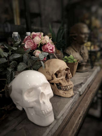 Halloween still life : White ceramic skull and old human skull with, bottle, flower bouquet in vase and ornamental plants on wooden table in the mystery roomの写真素材