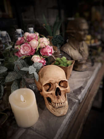 Halloween still life : The human skull with white candle light, vintage flower bouquet in vase and ornamental plants on wooden table in the mystery roomの写真素材