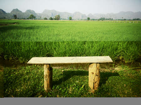 Beautiful green field with a wooden bench and the mountain landscape with blue sky in a summer morningの写真素材