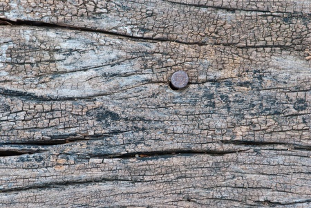 Wooden texture with rusty nail, relating to environment and construction, show feeling of power with aged.
の写真素材