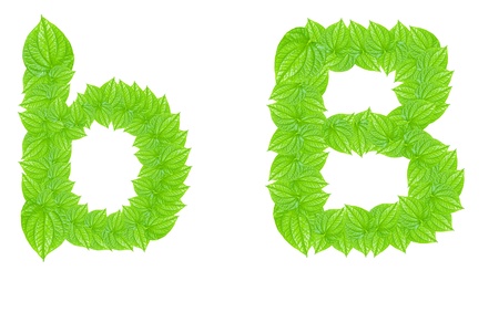 English alphabet made from green leafs with letter B in small capital and large capital letterの写真素材