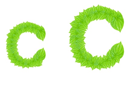 English alphabet made from green leafs with letter C in small capital and large capital letterの写真素材