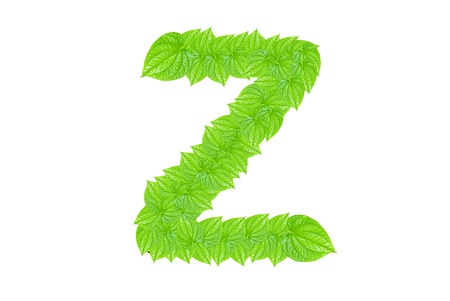 English alphabet made from green leafs with letter Z in small capital and large capital letterの写真素材