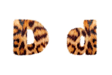 Custom english text base on leopard skin, isolated in whiteの写真素材