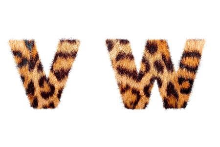 Custom english text base on leopard skin, isolated in whiteの写真素材