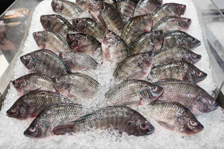 many fish on ice in super market, taken indoor useful for food conceptの写真素材