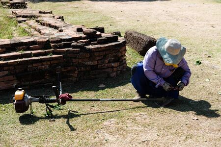 People cutting grass in afternoon taken outdoor, useful for industrial and working conceptsの写真素材