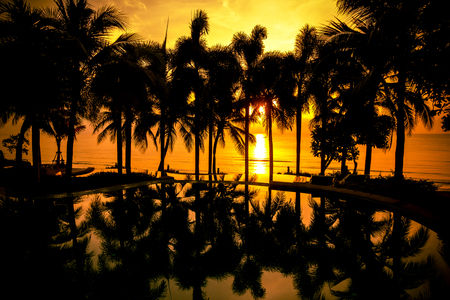 Tropical beach with pool and silhouetted palm trees during sunset, orange color special effect. Taken in Thailand hot summer beach.の写真素材