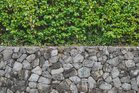 Granite and Bushの写真素材