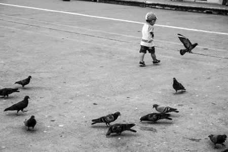 A Child Playing with Birds