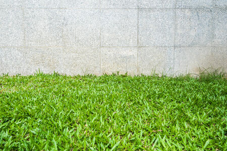 Gravel tile wall and grass floorの写真素材