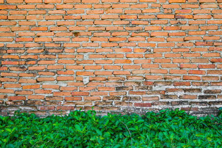 Old orange brick wall and grass floorの写真素材