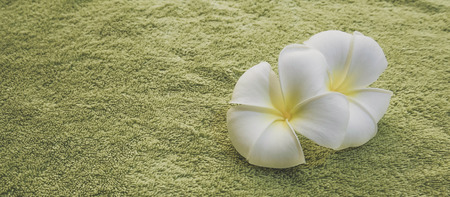 plumeriasの写真素材