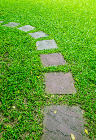 walk path on green grassの写真素材