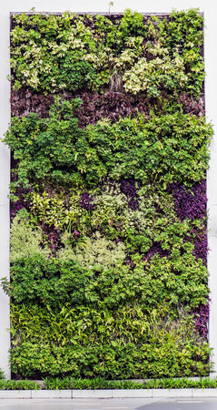 eco friendly green wallの写真素材