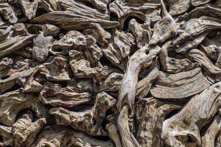 old decay logsの写真素材