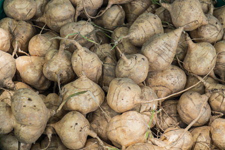 yam beansの写真素材