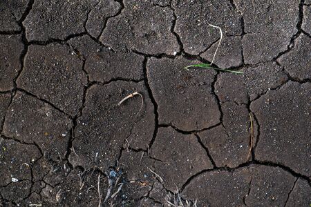 Dried cracked soil ground textureの写真素材