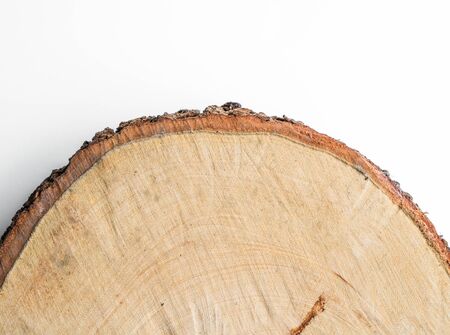 Part of raw chopping block on white backgroundの写真素材