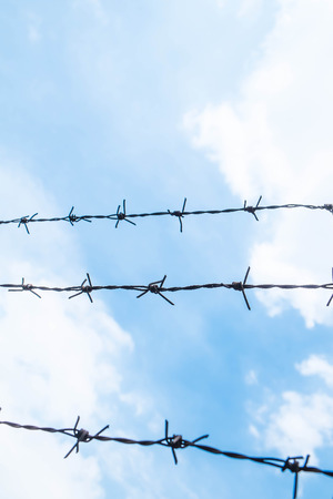 Shallow depth of field, old barbed steel wire against blue skyの写真素材