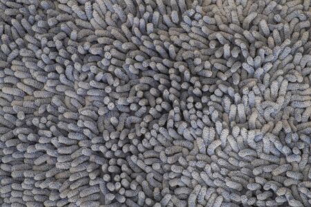 Extreme close-up foot scraper carpetの写真素材