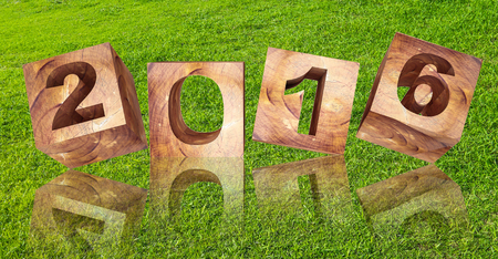 3d rendered, abstract year 2016 on green grass background