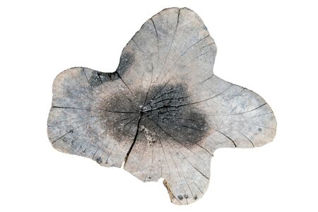 weathered wood stump, isolated on white backgroundの写真素材