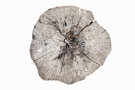 cracked round wood stump, isolated on white backgroundの写真素材