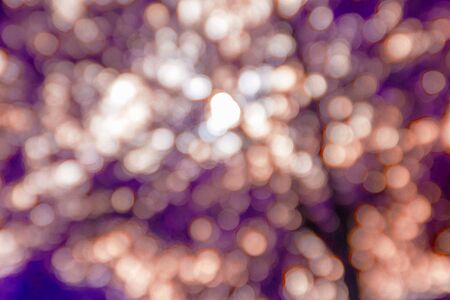Vintage tone, abstract blurred violet Bokehの写真素材
