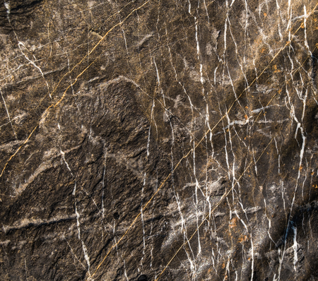 Stone surface textureの写真素材