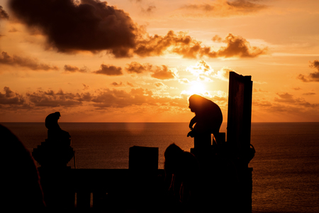 Silhouette monkeys with flare against sunset at Baliの写真素材