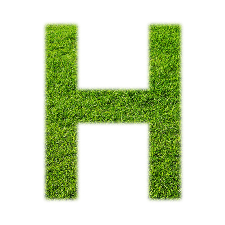 "H" uppercase alphabet made of grass texture, isolated on white backgroundの写真素材