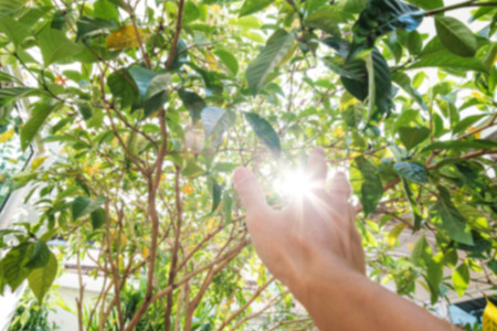 Blurred, defocus hand raised up with sun lens flare effectsの写真素材