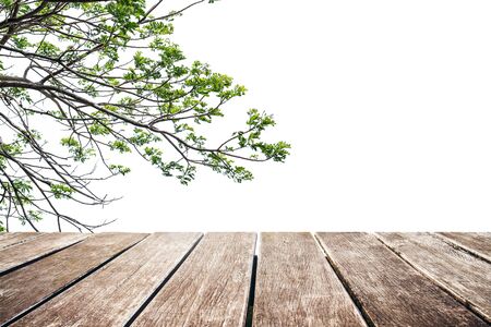 Wooden terrace, tree branches with copy spaceの写真素材