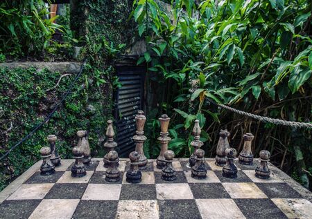 Old wooden chess game pieces in the forestの写真素材