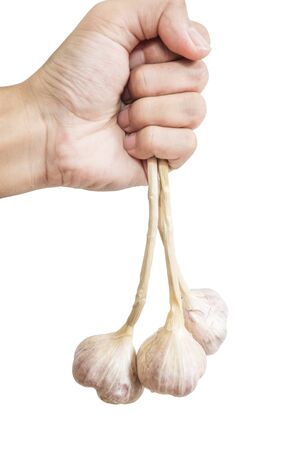 Hand holding raw garlic, isolated on white backgroundの写真素材