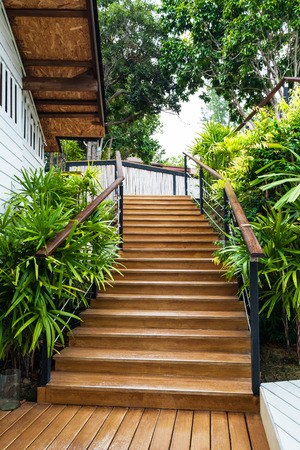 Wooden stairs in the gardenの写真素材