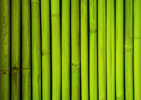 Green bamboo fence texture, bamboo background, texture background, bamboo textureの写真素材