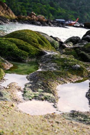 Moss covered on rocks at the beachの写真素材