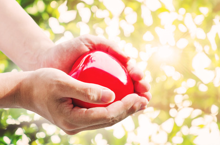 Hand holding red hart with defocus Bokeh with bright sunlightの写真素材