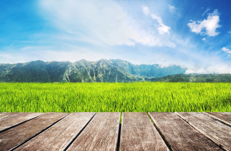 Wooden terrace with green rice field and blue skyの写真素材