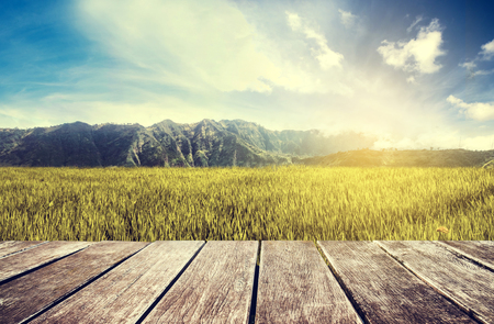 Wooden terrace with green rice field and blue sky in sunrise, vintage toneの写真素材