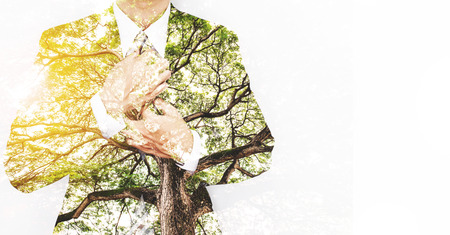 Double Exposure Businessman in Suit with Big Tree with Bright Sunlightの写真素材