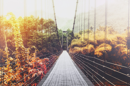 Beautiful season change forest and sunlight, with steel suspension bridge at foggy day in the morning, vintage toneの写真素材