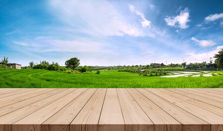 Wooden terrace with green rice field and blue sky in the morningの写真素材