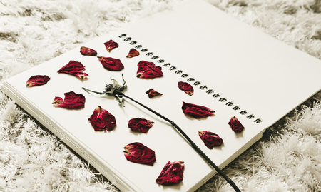 Press dried rose flower petals on notebook, selective focus, vintage toneの写真素材