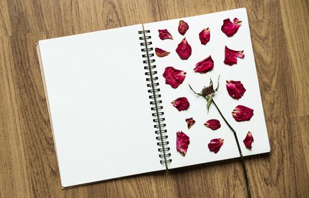 Opened binder blank notebook with rose press rose flower petals, on wood backgroundsの写真素材
